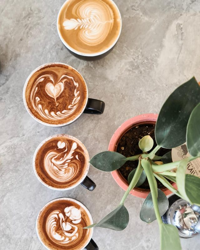 Which one is your favourite latte art? ☕️
.
.
.

#coffee #coffeelover #cafesydney #latteart #coffeeart #coffeelife #coffeegram #latteartgram #cafestagram #shirebusiness